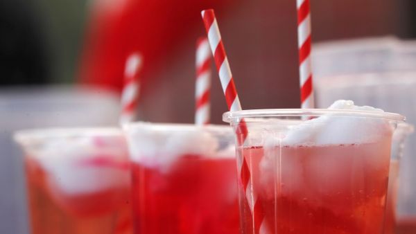 Fonda vegana. Terremoto