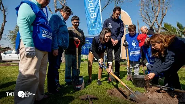 Vecinos y autoridades participan en la plantación de árboles nativos en Plaza Oslo de Maipú, como parte del plan de arborización comunal.
