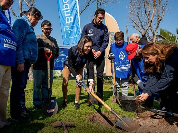 Vecinos y autoridades participan en la plantación de árboles nativos en Plaza Oslo de Maipú, como parte del plan de arborización comunal.