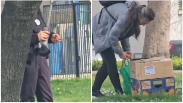 Denuncia cazadores de palomas