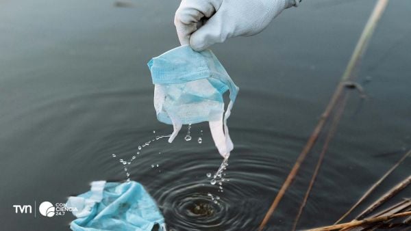 Mascarillas de la pandemia: de protección sanitaria a riesgo ambiental.