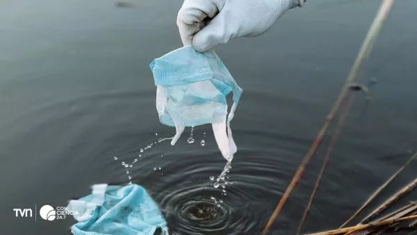 Mascarillas de la pandemia: de protección sanitaria a riesgo ambiental.