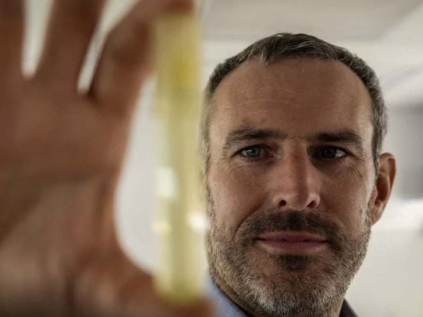 Imagen microscópica de Prochlorococcus, el fitoplancton más abundante del planeta y vital para la cadena alimentaria marina.
