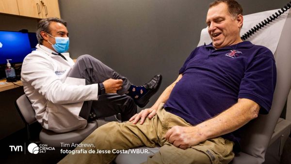 Paciente con riñón de cerdo modificado genéticamente marca récord de supervivencia en xenotrasplante.