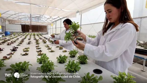 Universidad de Chile inaugura planta solar e invernadero sustentable.