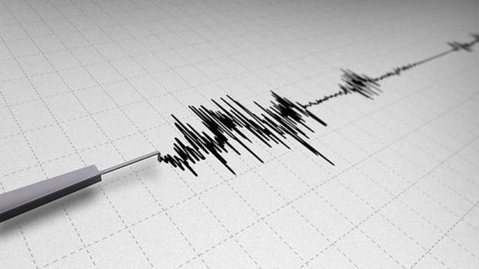SHOA descarta tsunami en Chile