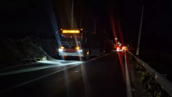 Atropello Camino a Rinconada