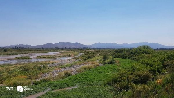 Río Maipo de Melipilla.