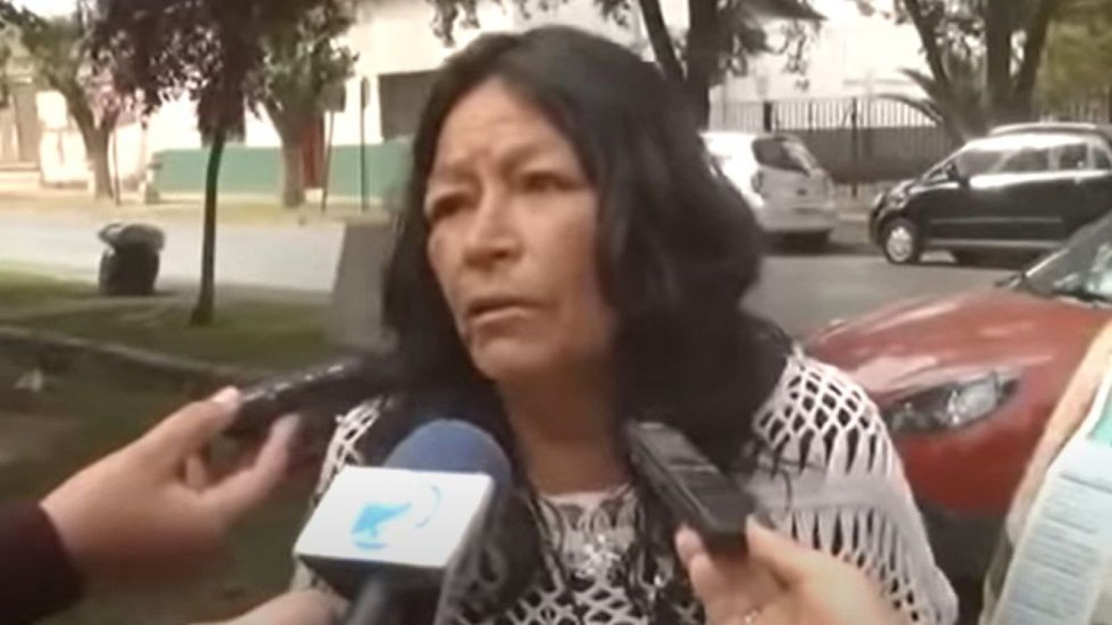 Las calilas y las mojojojo