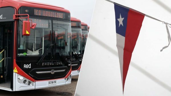 Concurso de payas de RED