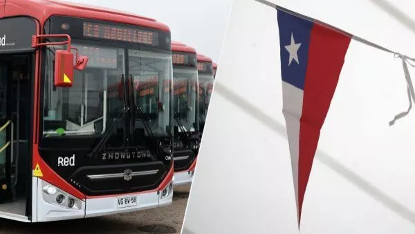 Concurso de payas de RED