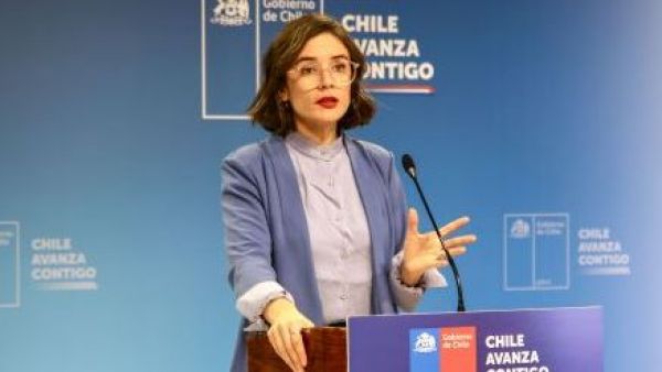 Camila Vallejos Gobierno
