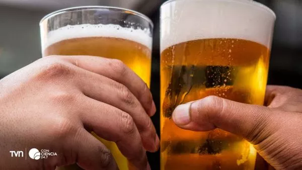 Cervezas haciendo un salud.