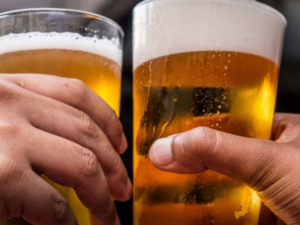Cervezas haciendo un salud.