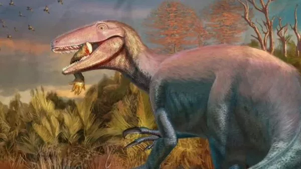 Conciencia 24.7 en 24 Horas: 25 de septiembre 2025.