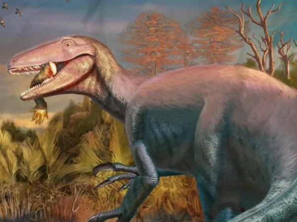 Conciencia 24.7 en 24 Horas: 25 de septiembre 2025.