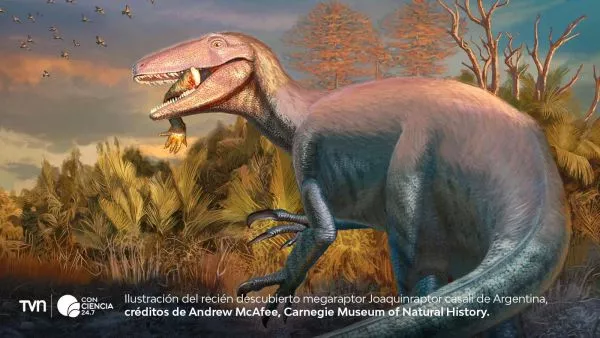 Descubren en Argentina una nueva especie de megaraptor.