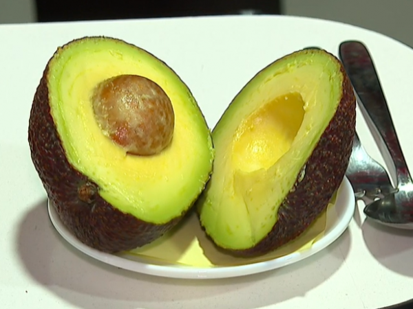 Las diferencias entre la palta chilena con la peruana