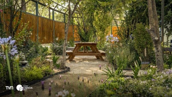 Pacientes y funcionarios disfrutando de un jardín sanador en un hospital público de Chile, espacio natural que contribuye a reducir el estrés y mejorar el bienestar.