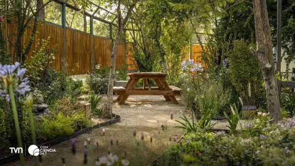 Pacientes y funcionarios disfrutando de un jardín sanador en un hospital público de Chile, espacio natural que contribuye a reducir el estrés y mejorar el bienestar.