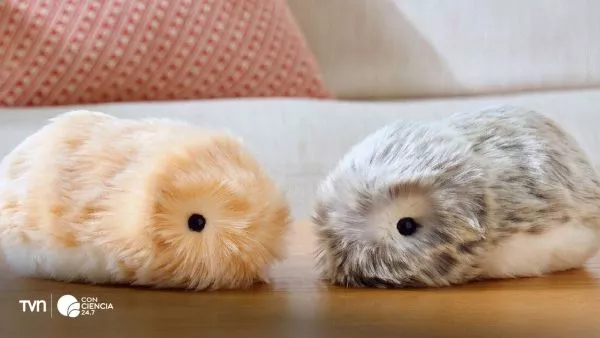 Moflin: el robot con IA y 4 millones de personalidades que busca convertirse en tu compañero emocional.