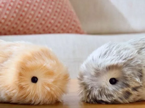 Moflin: el robot con IA y 4 millones de personalidades que busca convertirse en tu compañero emocional.