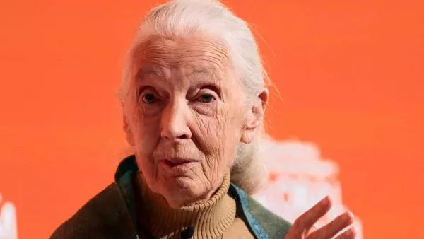 Jane Goodall