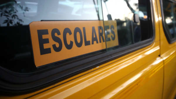 Tragedia en Pitrufquén: niña de 2 años muere atropellada por furgón escolar