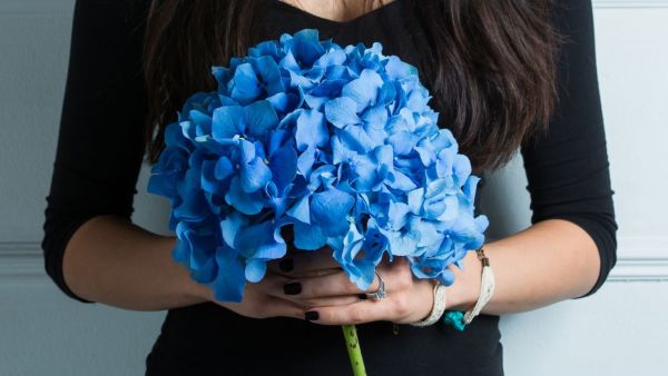 Manos de mujer con un ramo de flores azules.