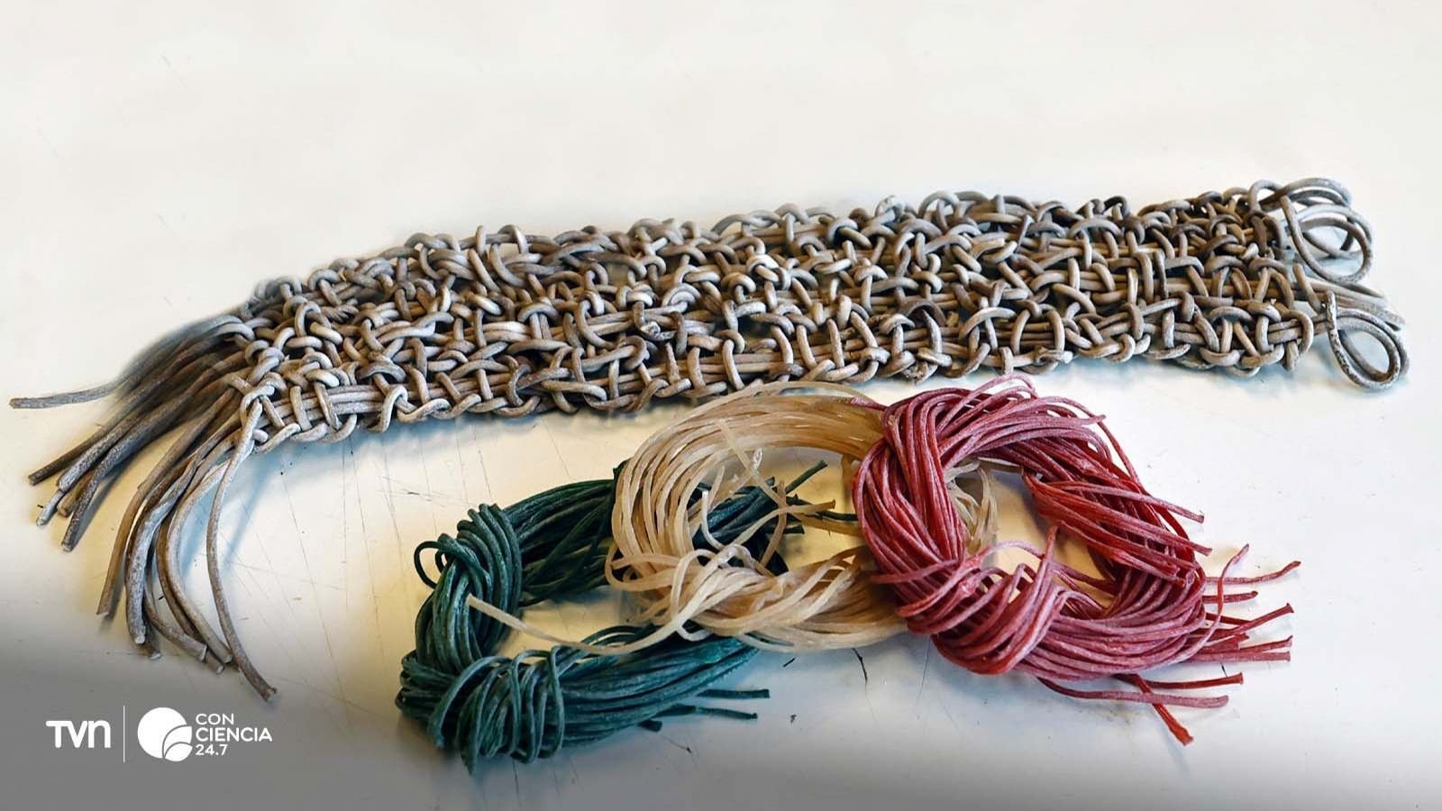 Filga: fibra biodegradable hecha con algas.