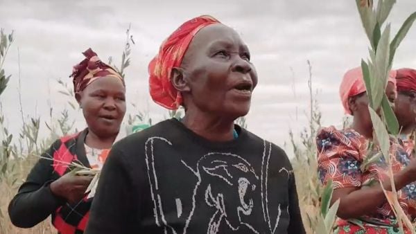 Chilenos que quieren cambiar el mundo en Kenia