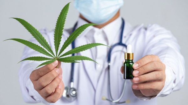 Cannabis medicinal