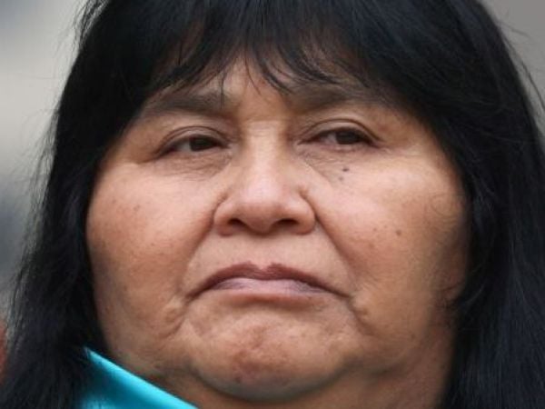 Diputada Emilia Nuyado