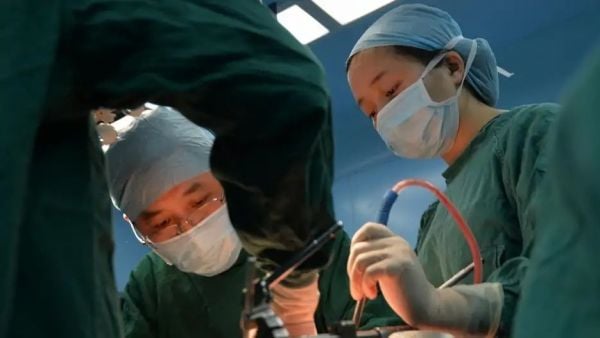 Paciente sobrevive meses con un hígado de cerdo modificado