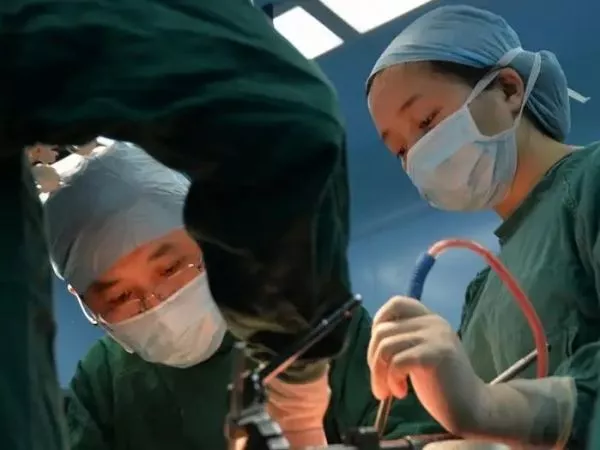 Paciente sobrevive meses con un hígado de cerdo modificado