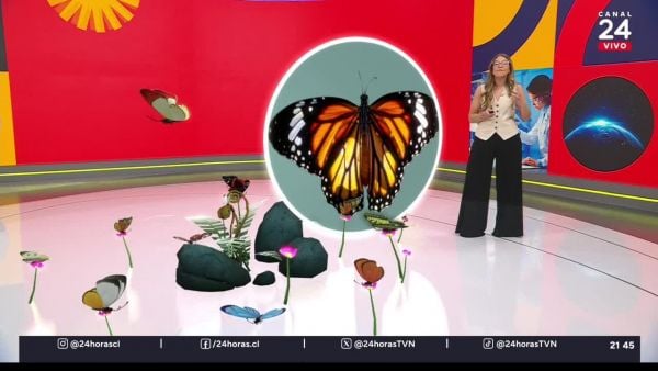 Conciencia 24.7 en 24 Horas: 10 de octubre 2025.