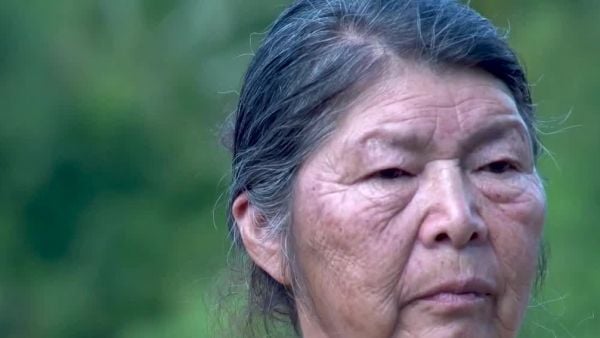 Diligencias en casa de Julia Chuñil