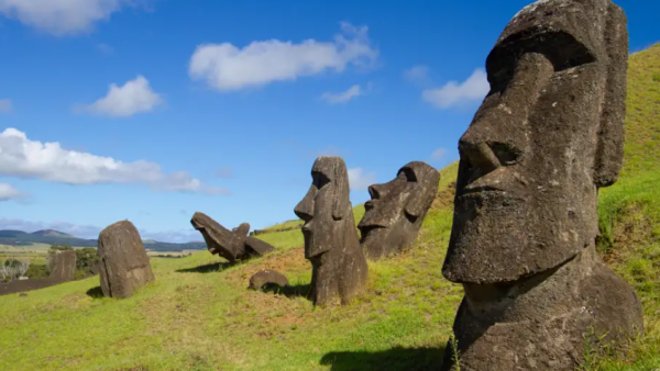 Científicos prueban que los moáis de Rapa Nui 'caminaron'
