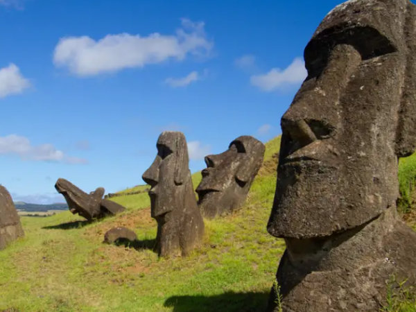 Científicos prueban que los moáis de Rapa Nui 'caminaron'