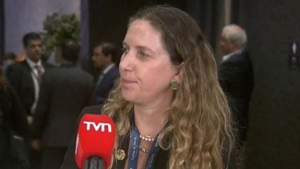 Rosario Navarro, presidenta de la Sofofa