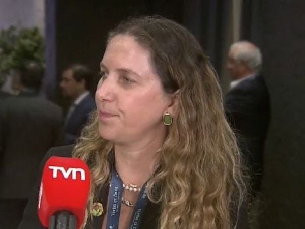 Rosario Navarro, presidenta de la Sofofa