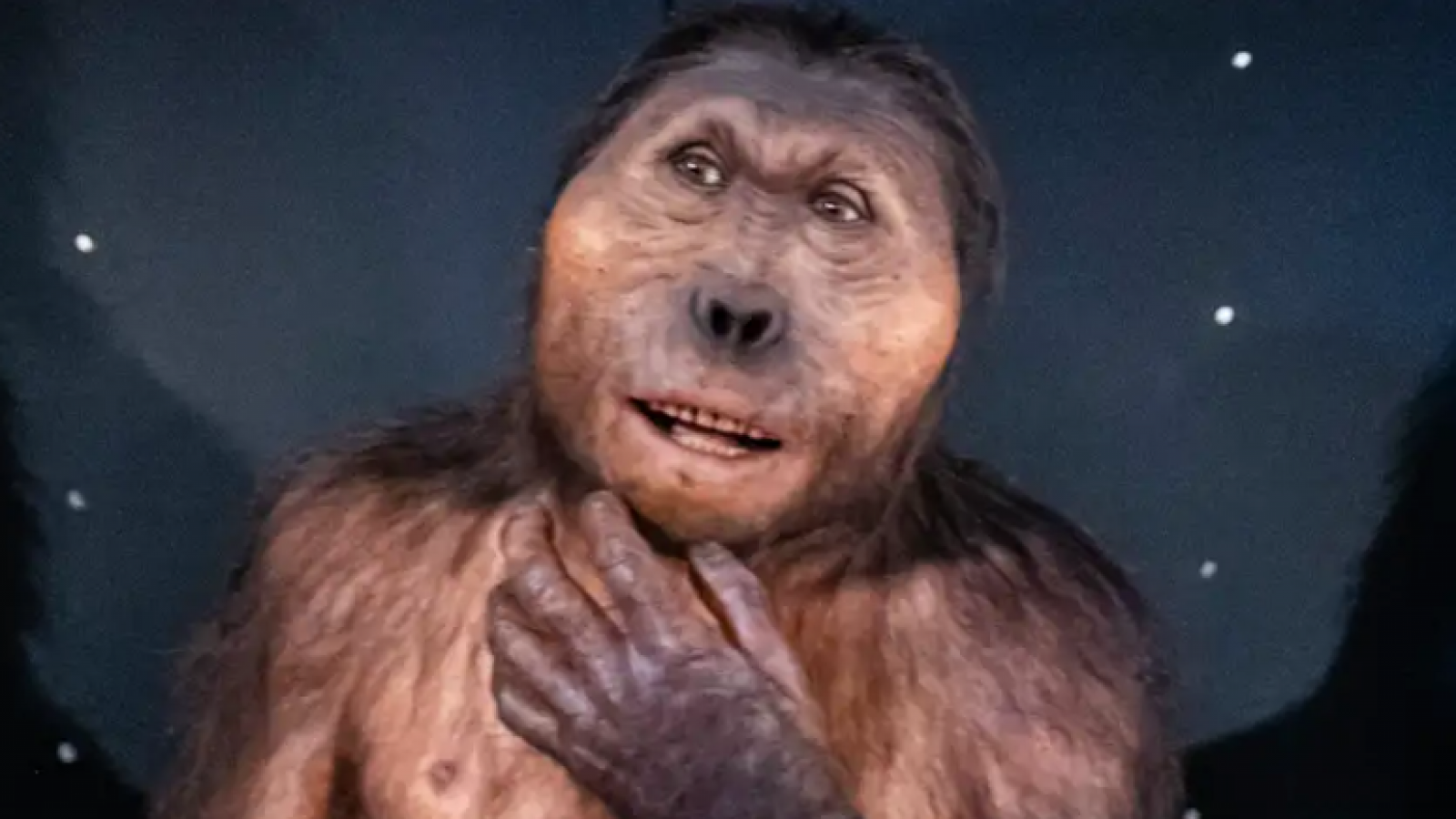 Hallan mano fósil con "fuerza de gorila y precisión humana"