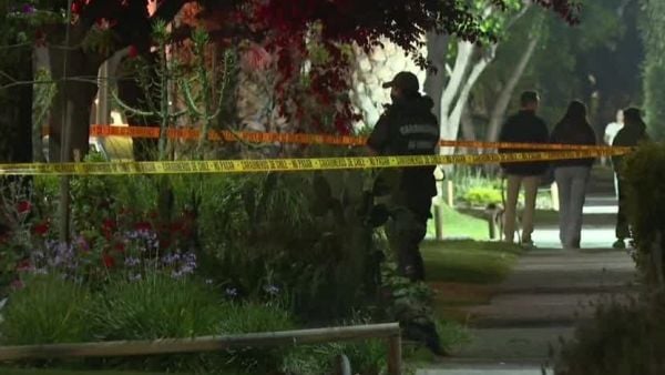 Parricidio y suicidio en La Reina