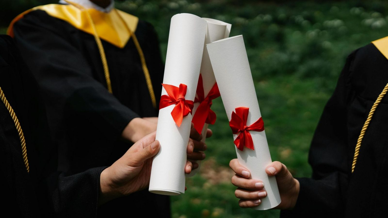 Bono graduación