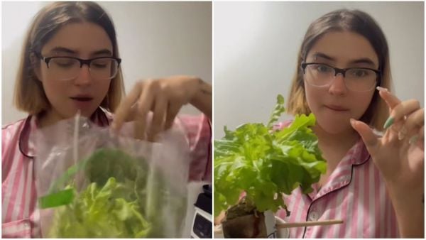 Chilena comparte secreto para agrandar lechuga