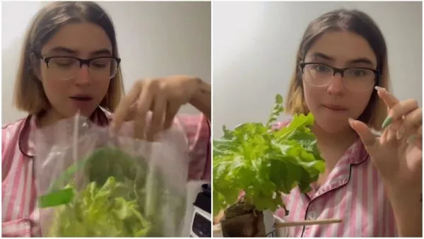 Chilena comparte secreto para agrandar lechuga