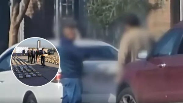 Incautan 800 kilos marihuana