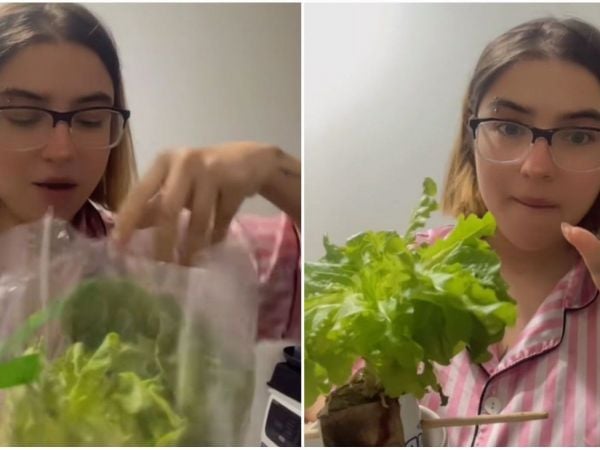 Chilena comparte secreto para agrandar lechuga