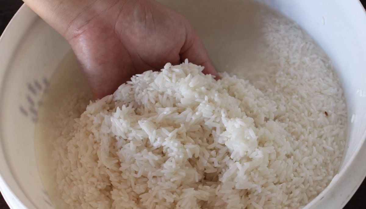 #TecnologíayCiencias 
¿Hay que lavar, o no, el arroz? El verdadero secreto para que quede bien 
Más detalles ⬇️