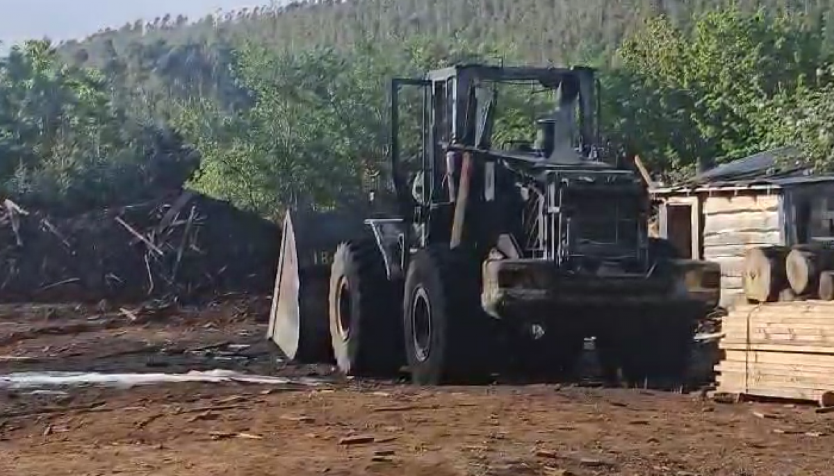 #Regiones    

Atentado incendiario en Cañete: reportan dos máquinas quemadas
 
Más detalles ⬇